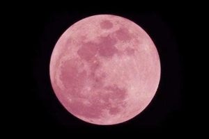 super lune rose, wesak, énergies, pleine lune